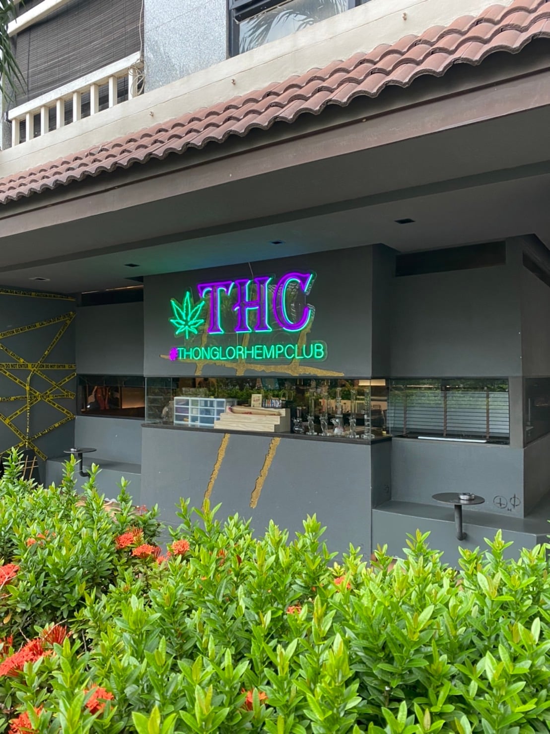 THC Thonglor Hemp