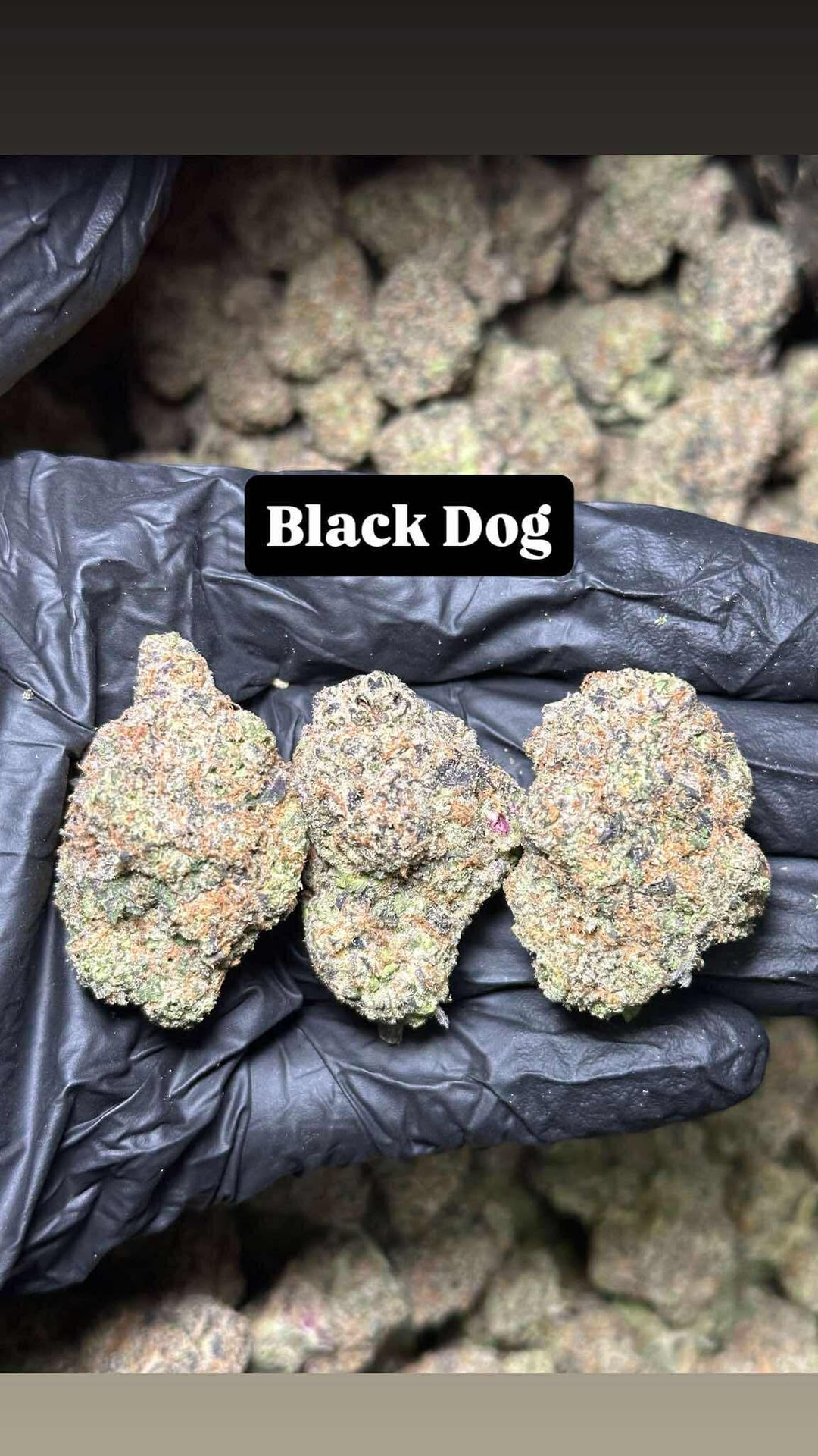 Know Cannabis