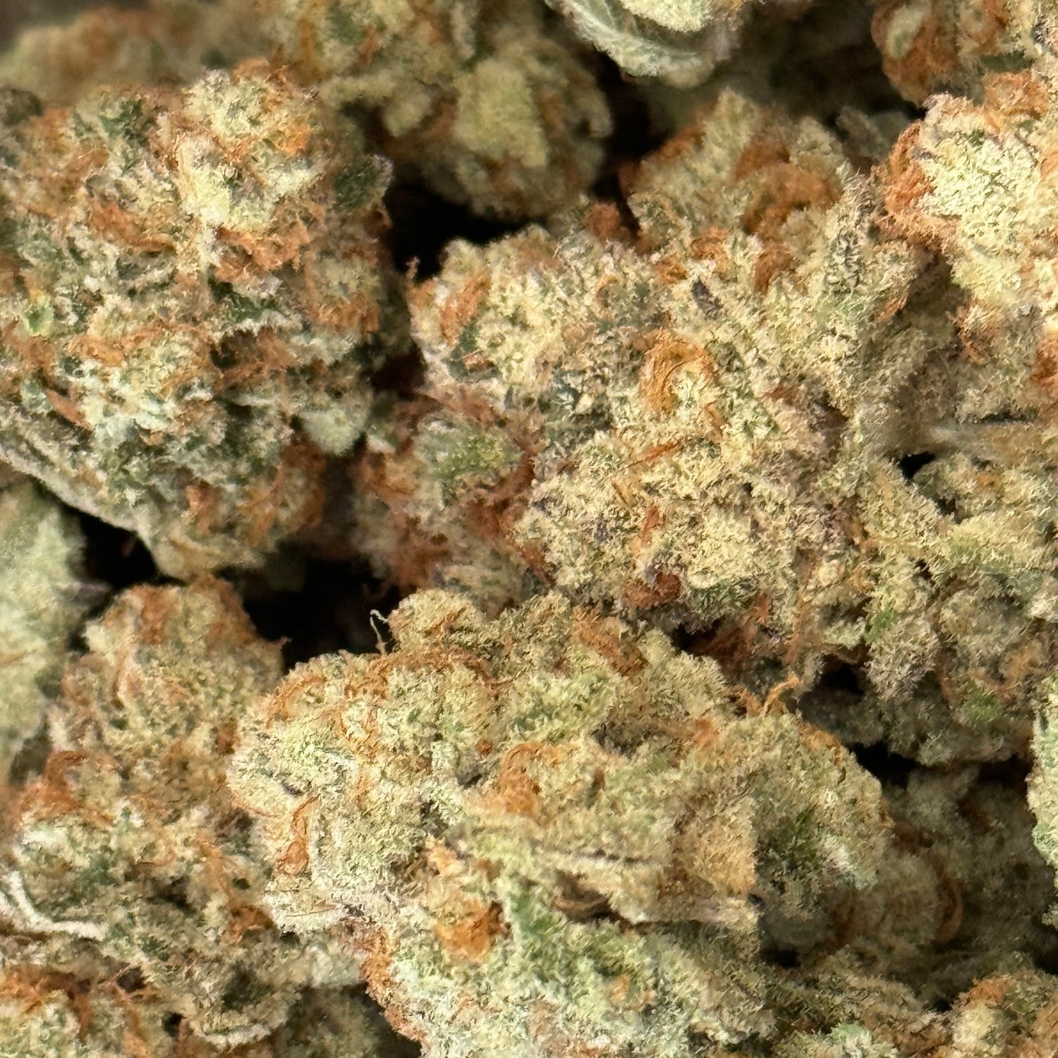 Kung Cannabis