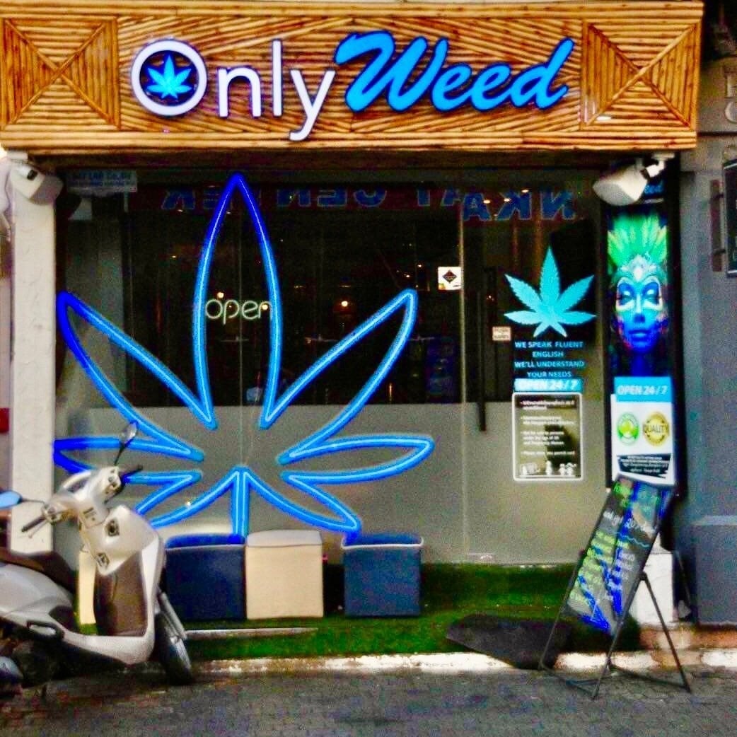 OnlyWeed