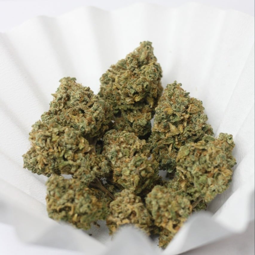 B.K.Grower Bangsean