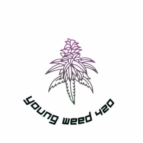 Ban I Lup的大麻店铺 Youngweed420 标志
