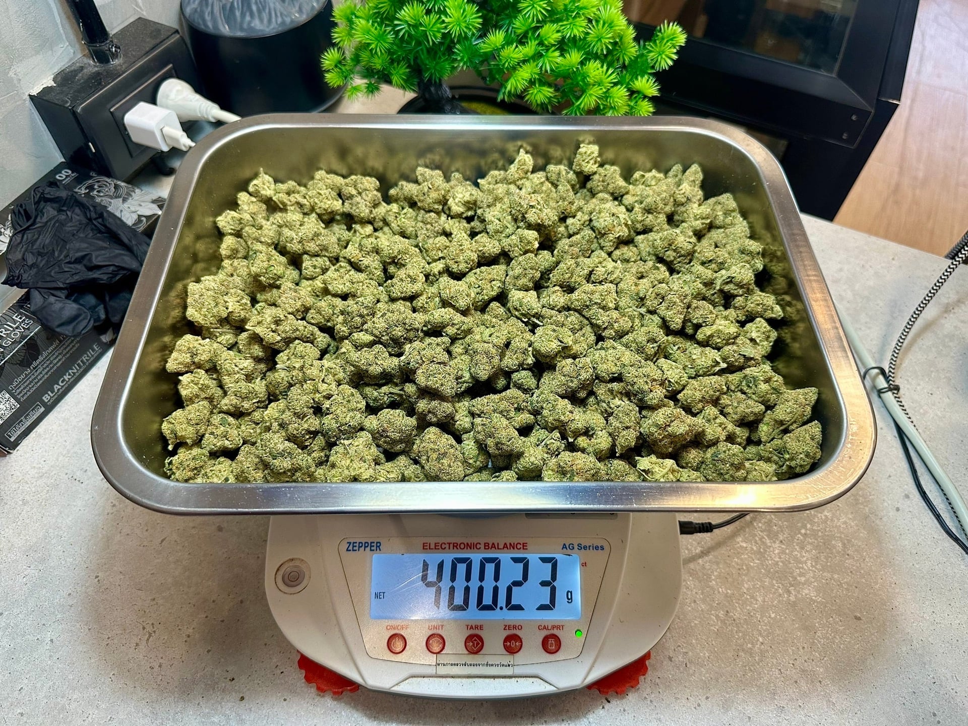Up In Smoke Cannabis