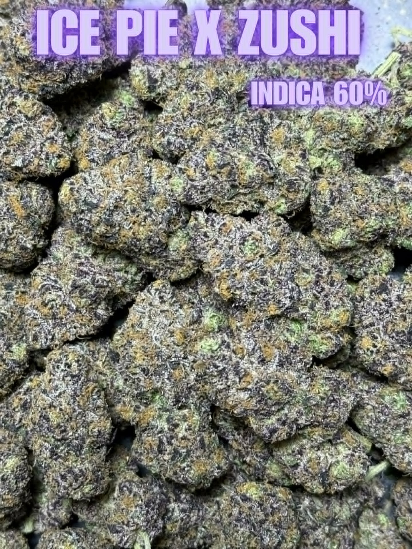 King Cannabis Jomtien