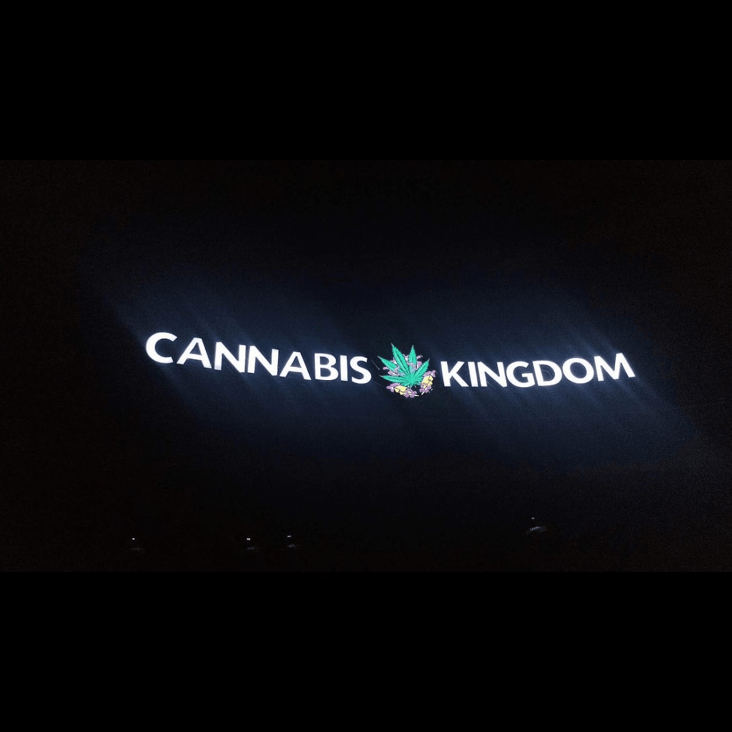 Cannabis Dispensary Cannabis Kingdom Replay logo