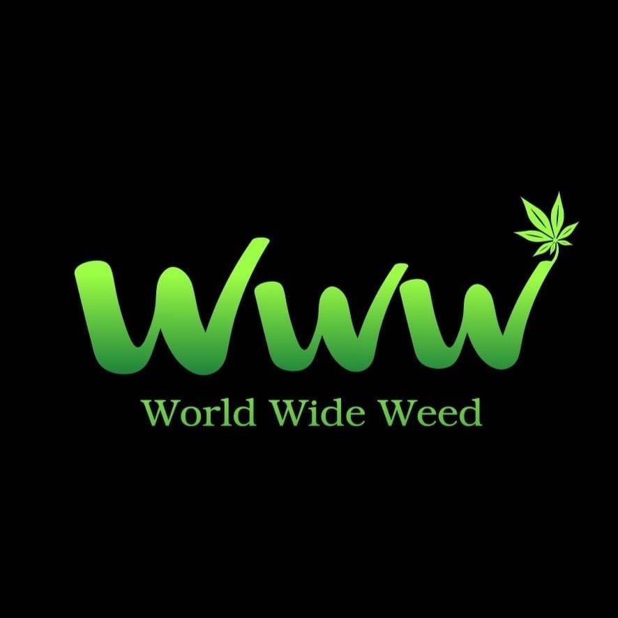Every Day Cannabis logo