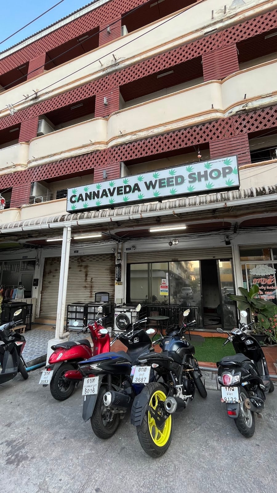 Cannaveda