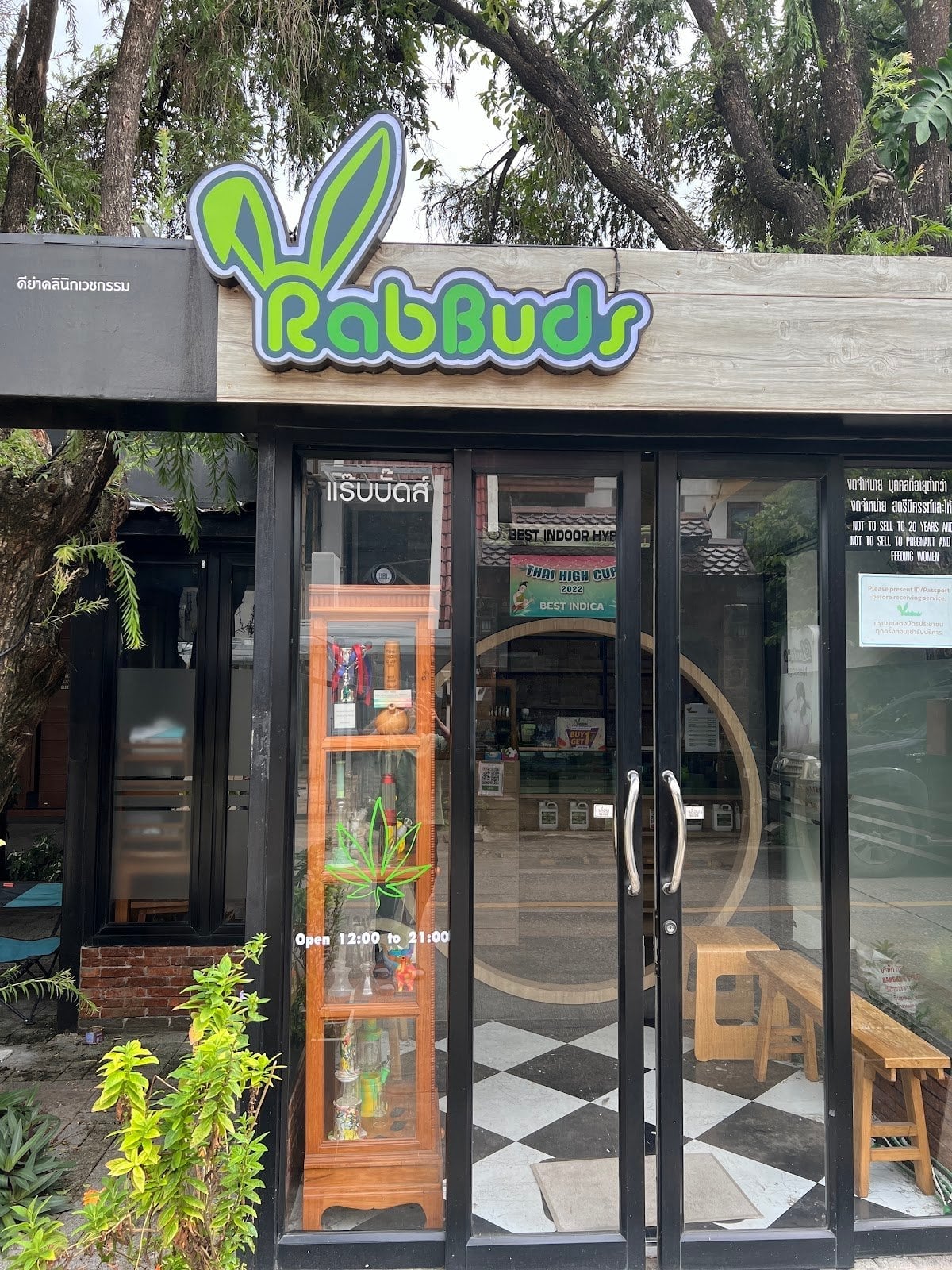 RabBuds