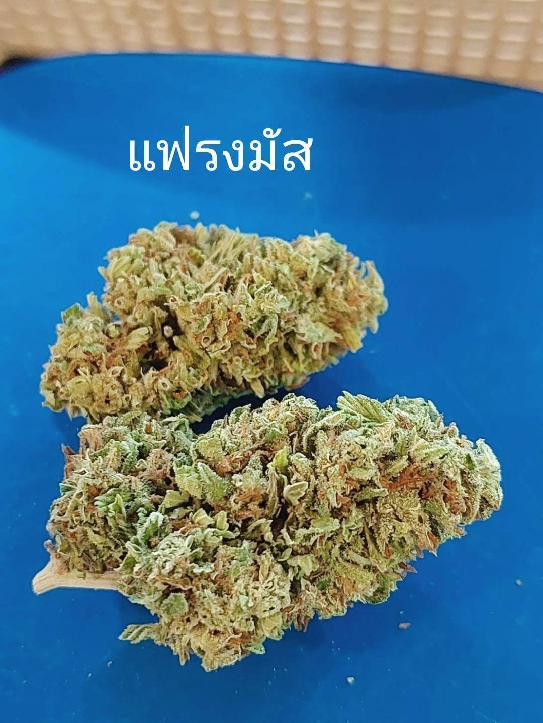 Thammachat