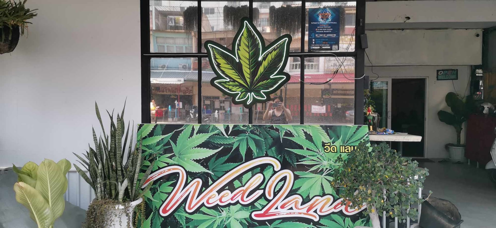 Ruttigan Weed CNX