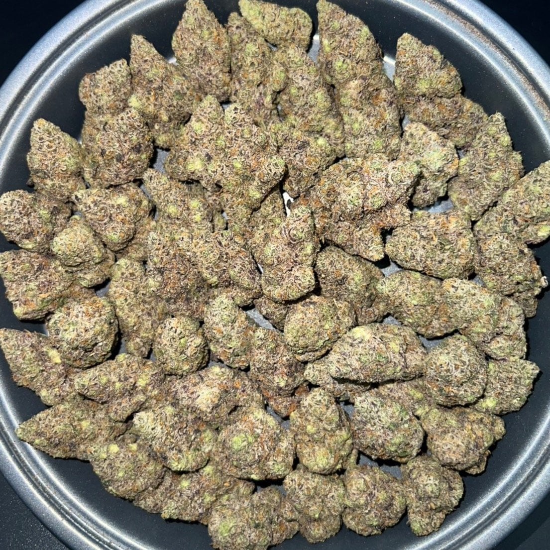 Vterps