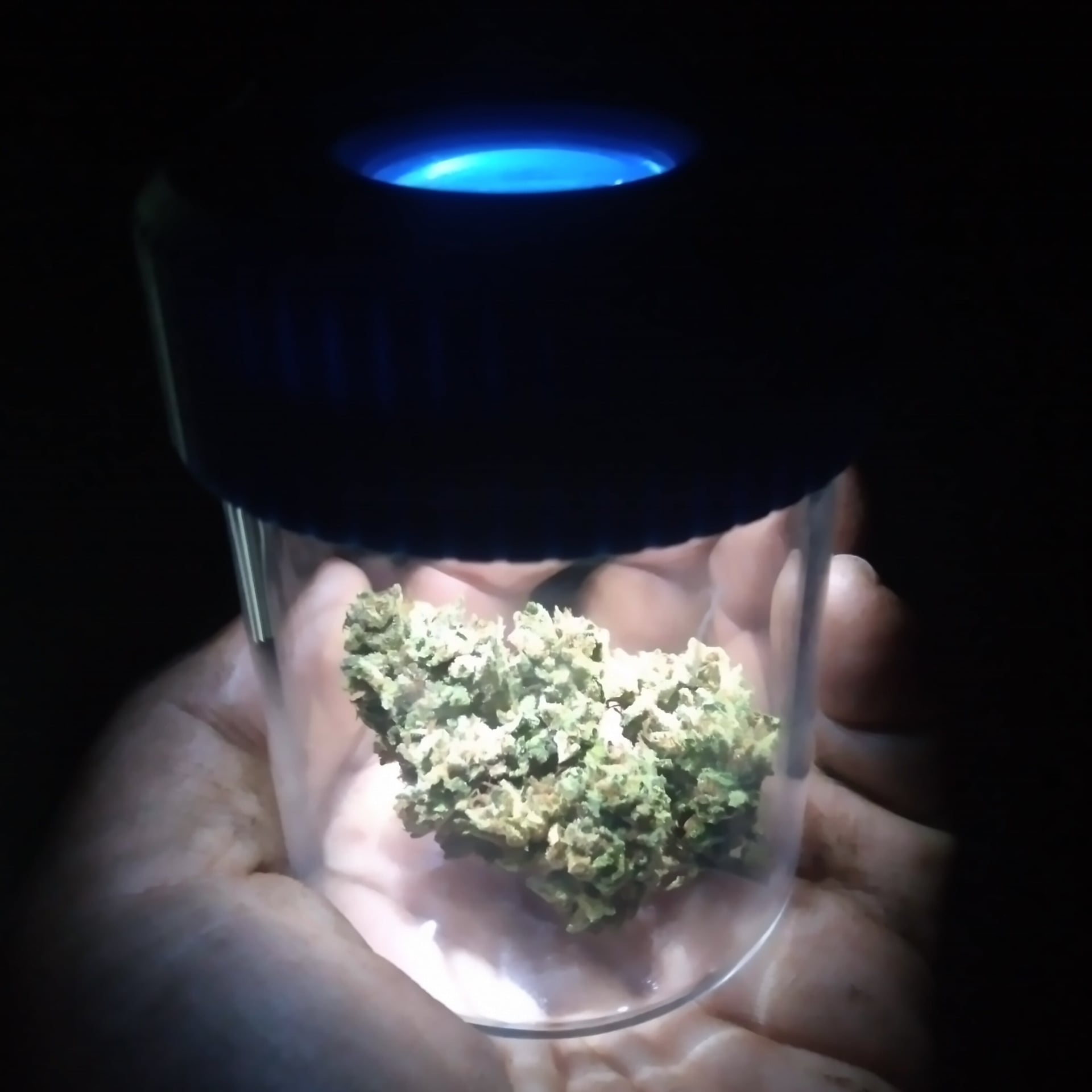 Cannabis Dispensary AJ & Nano Hydrofarm logo