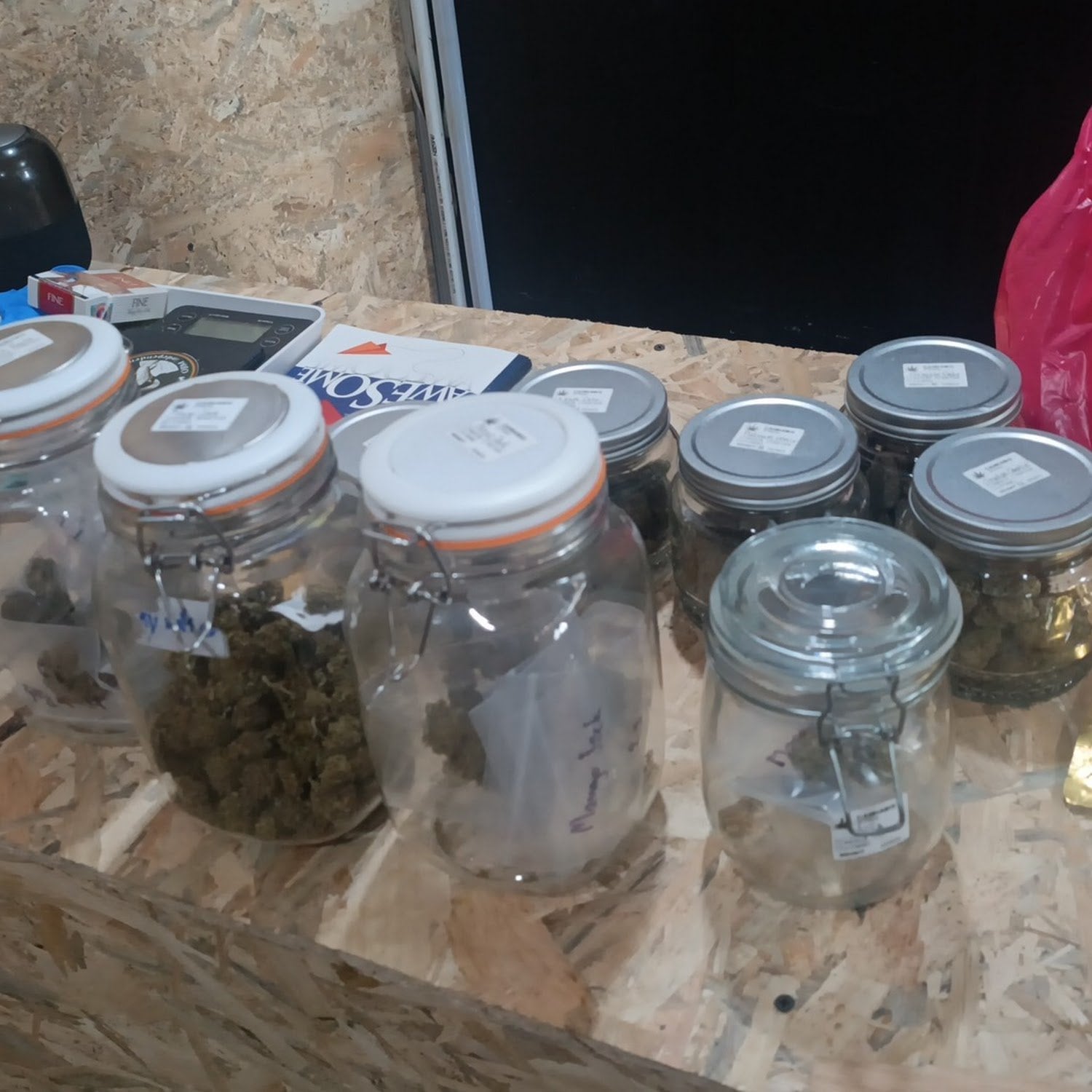 Mitr Kan Cannabis