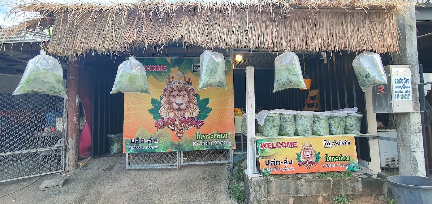 Elf Land & Elf Weed