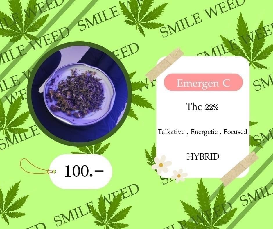 Smileweed)