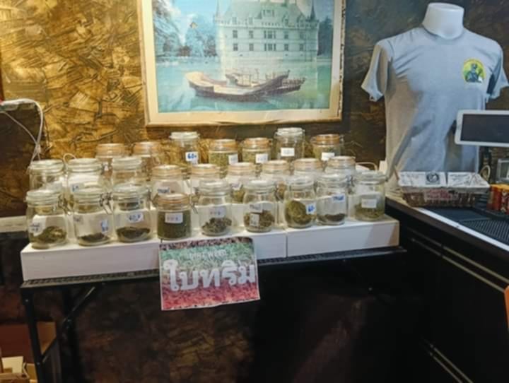 Chumphon Cannabis
