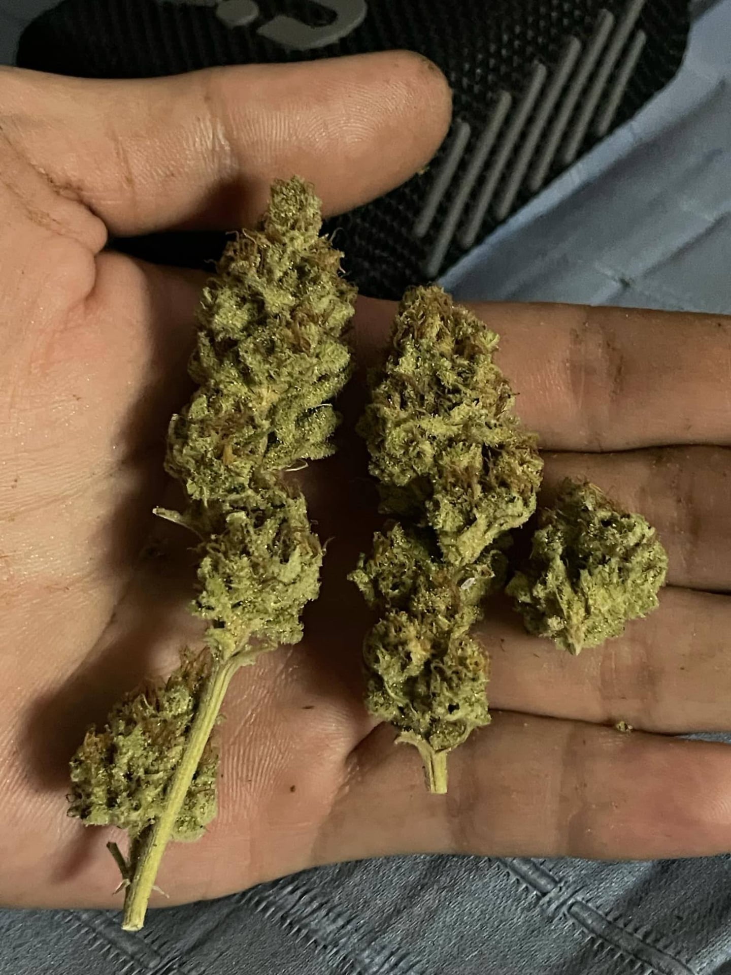 Shop Grower Bannok