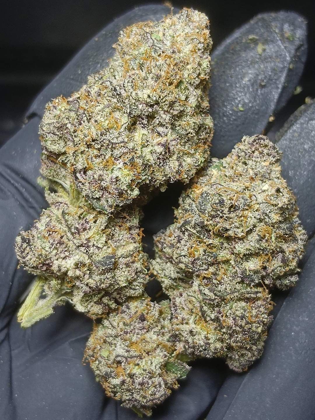 FunFact Cannabis Najomtien -Weed Ganja