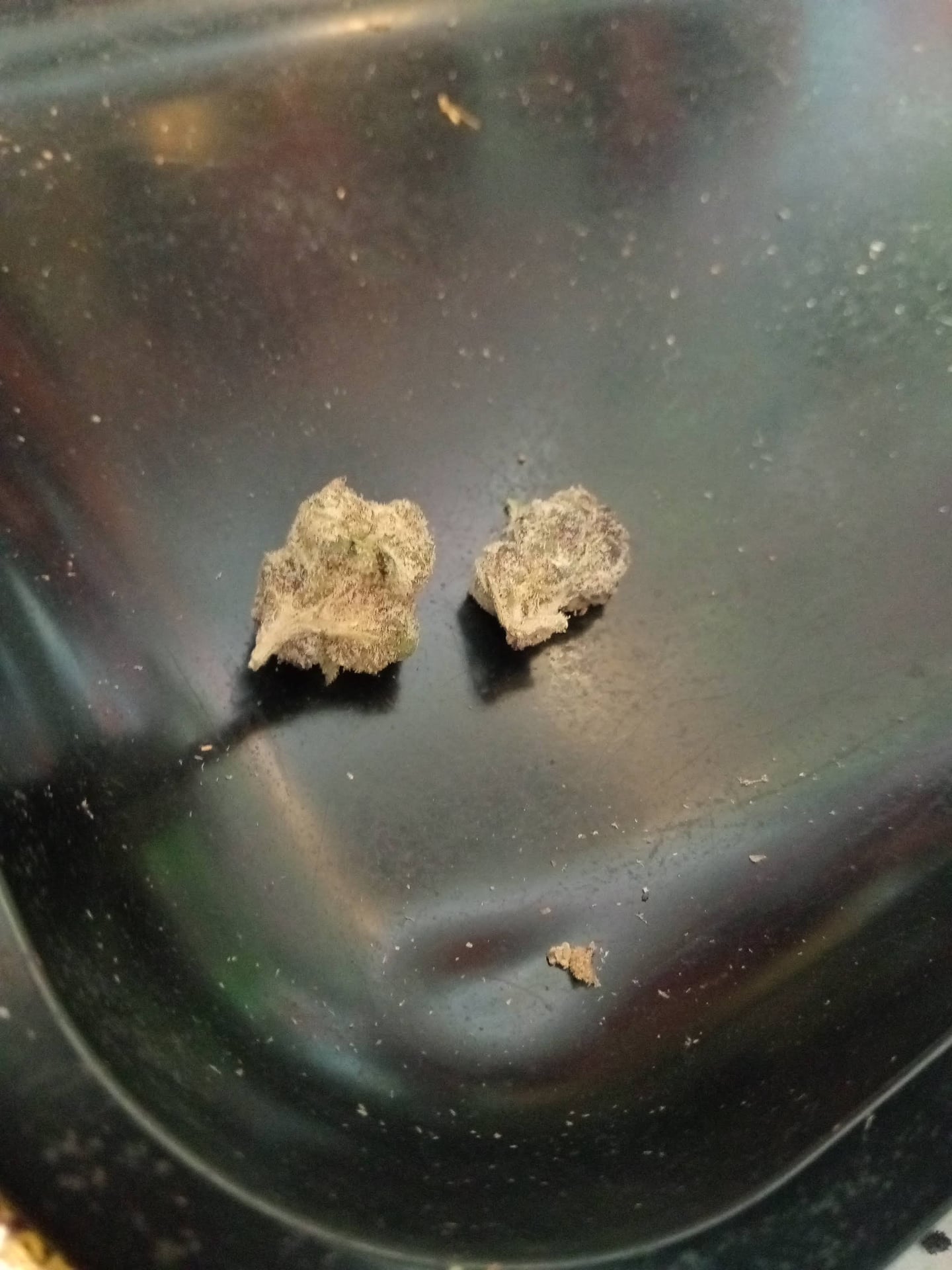 Grow High Shop Near Airport - Weed Marijuana