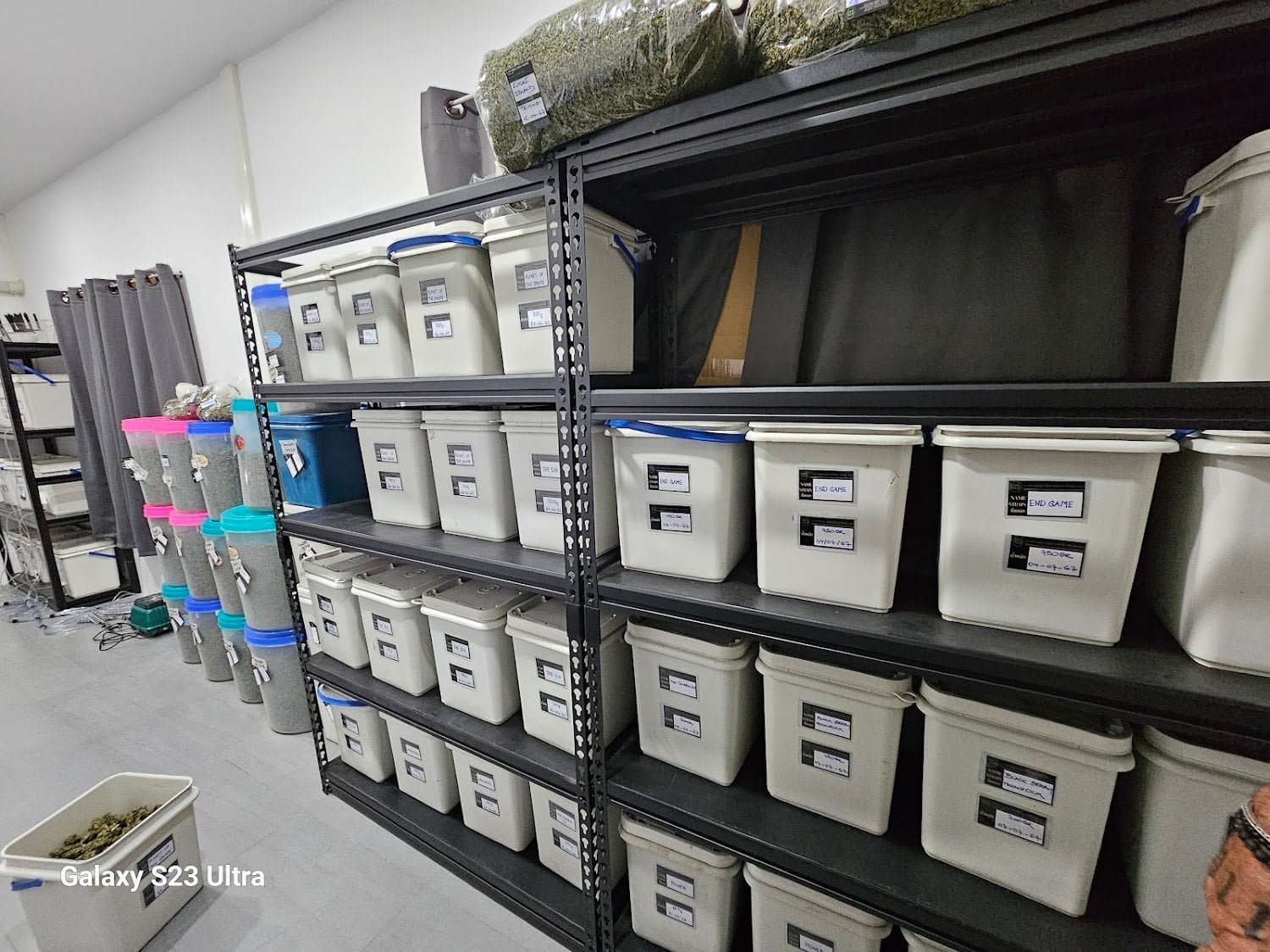 Cannabis Farm North Ccmof