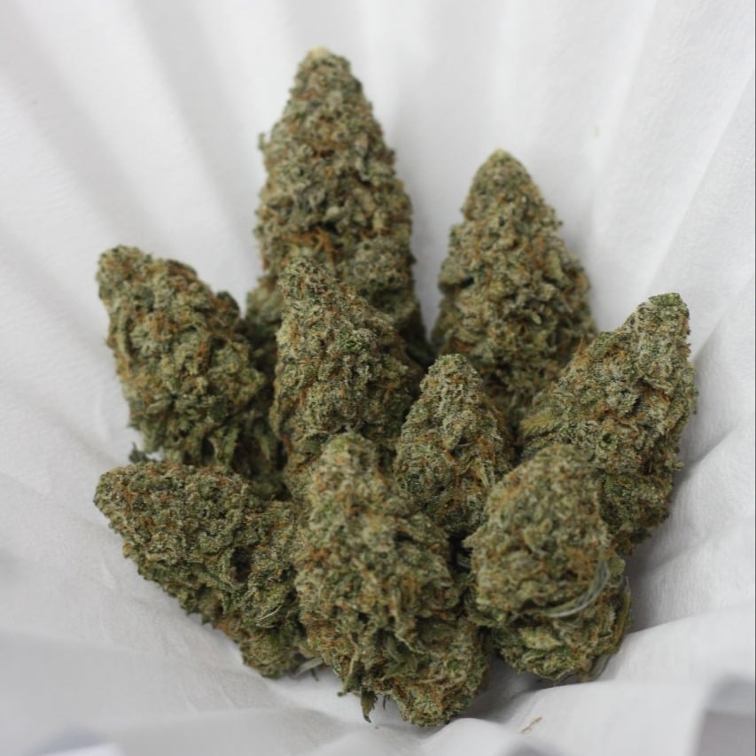 B.K.Grower Bangsean