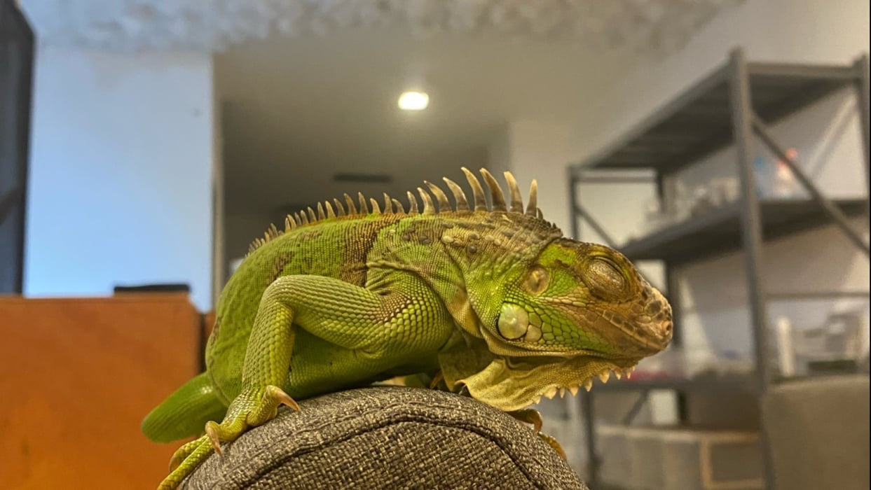 ExoticHouseCafe