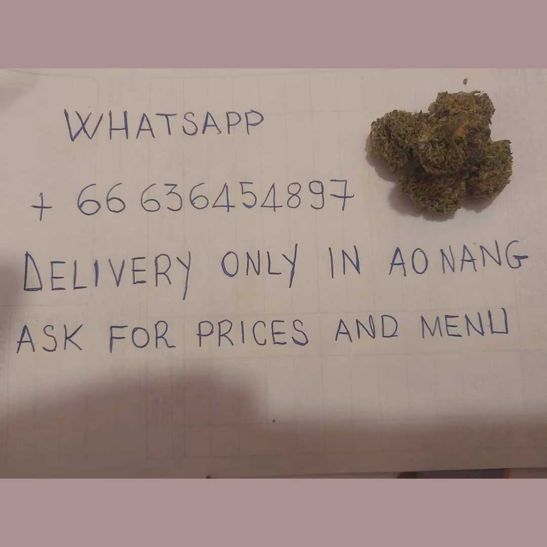 Cannabis Dispensary Happy Cannabis Delivery - Weed Coffeeshop in Krabi logo