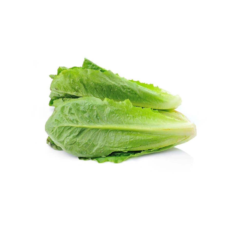 Organic Magix