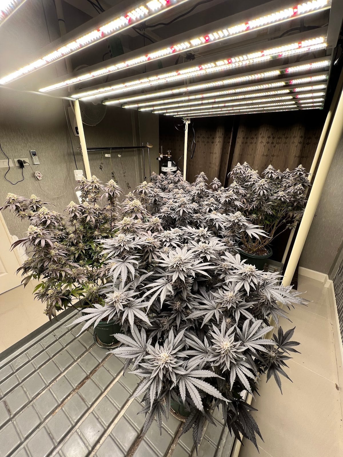 Bud Station By Huntsman Farm