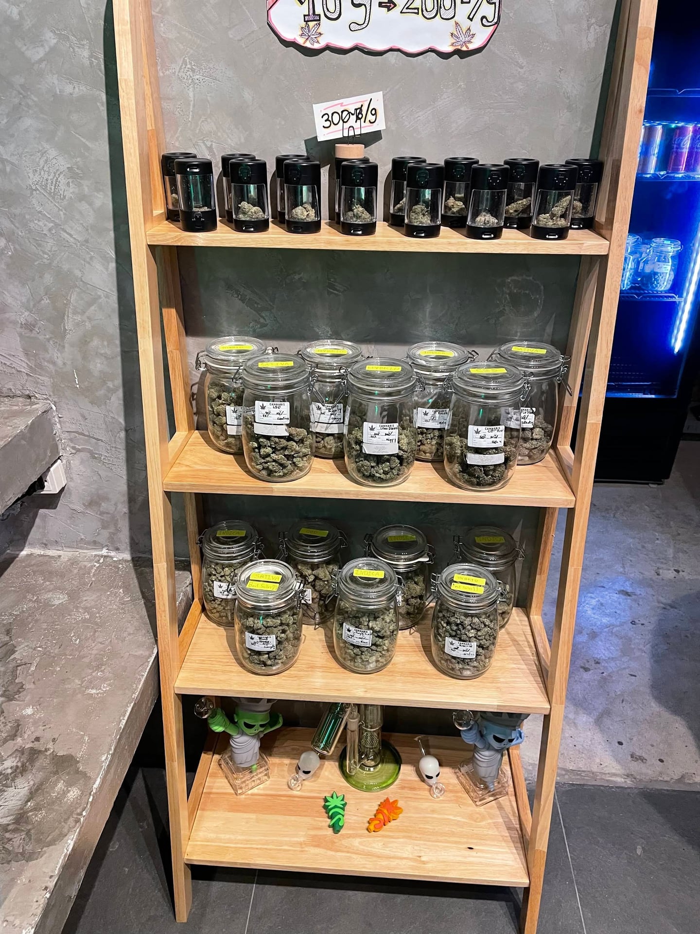 Coffee Shop Cannabis