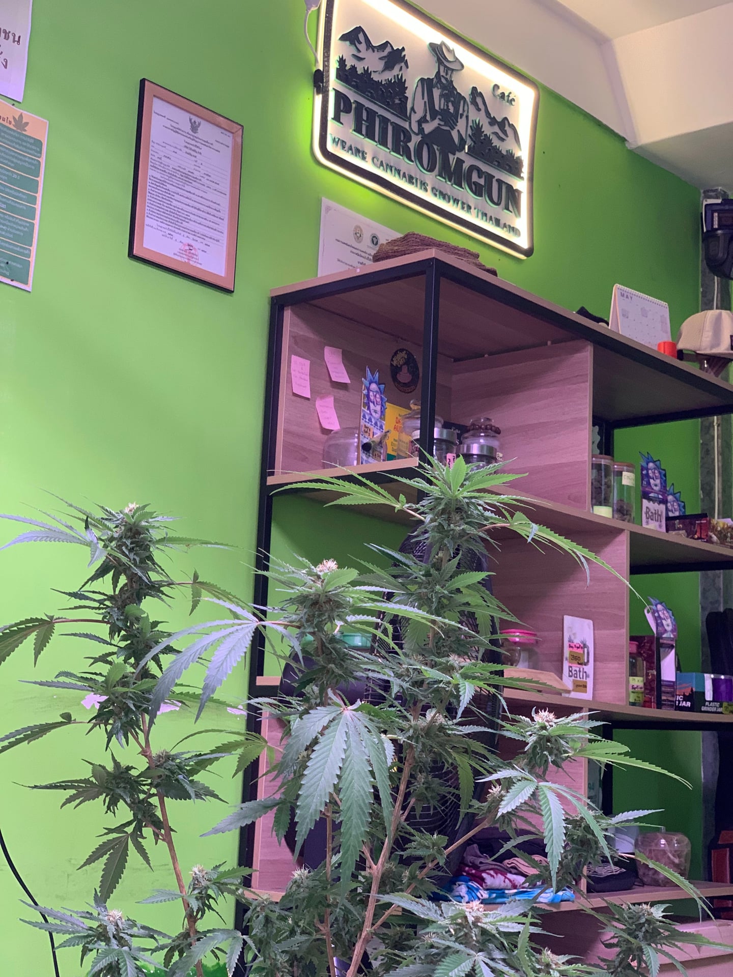 Phiromgun Cafe