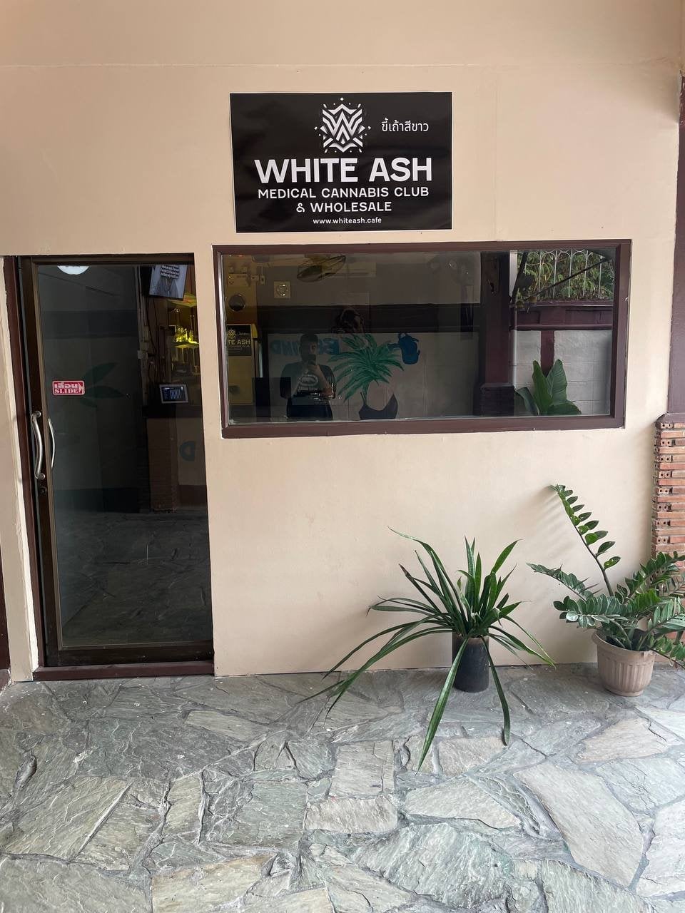 White Ash