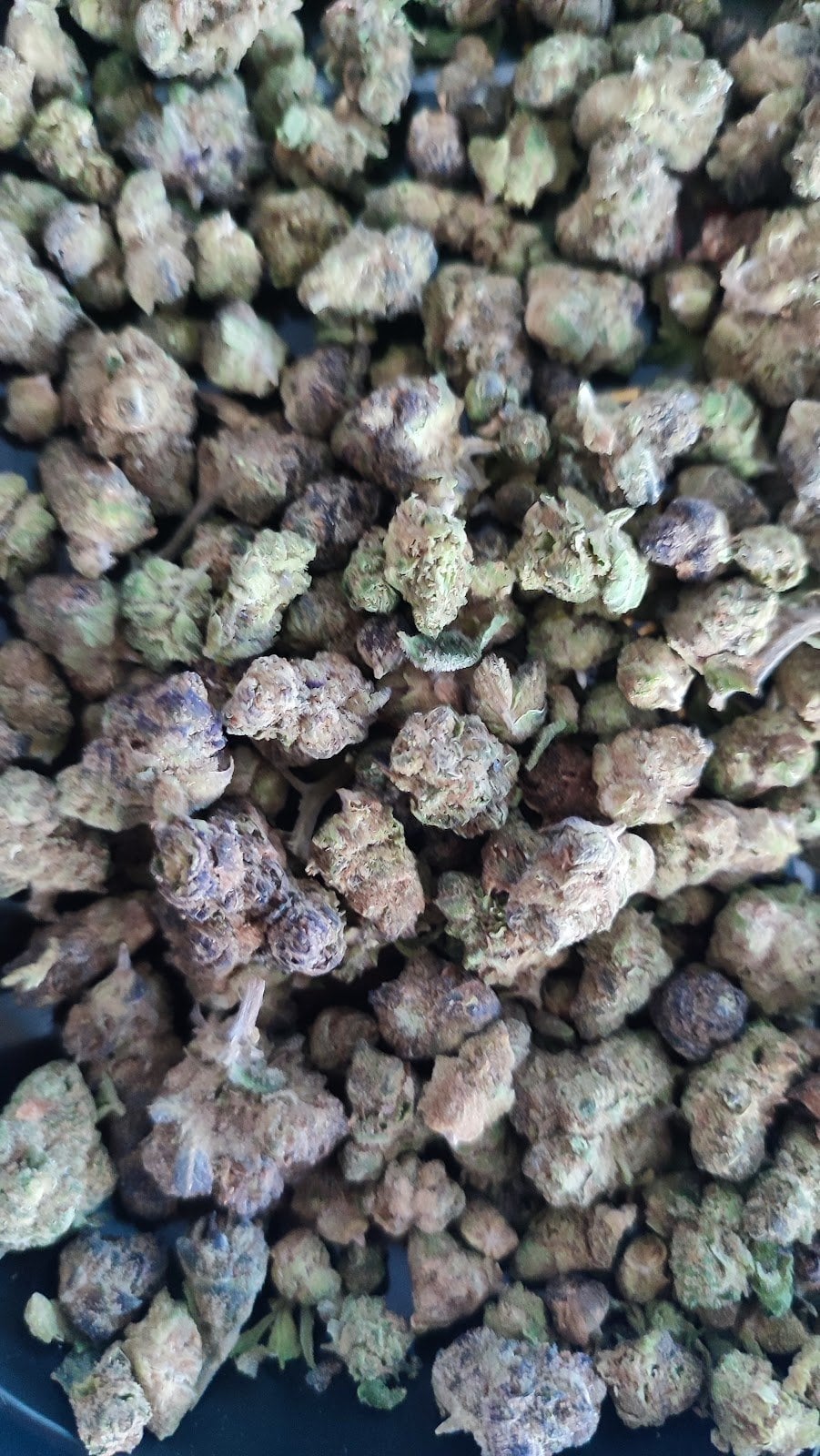 Og Land