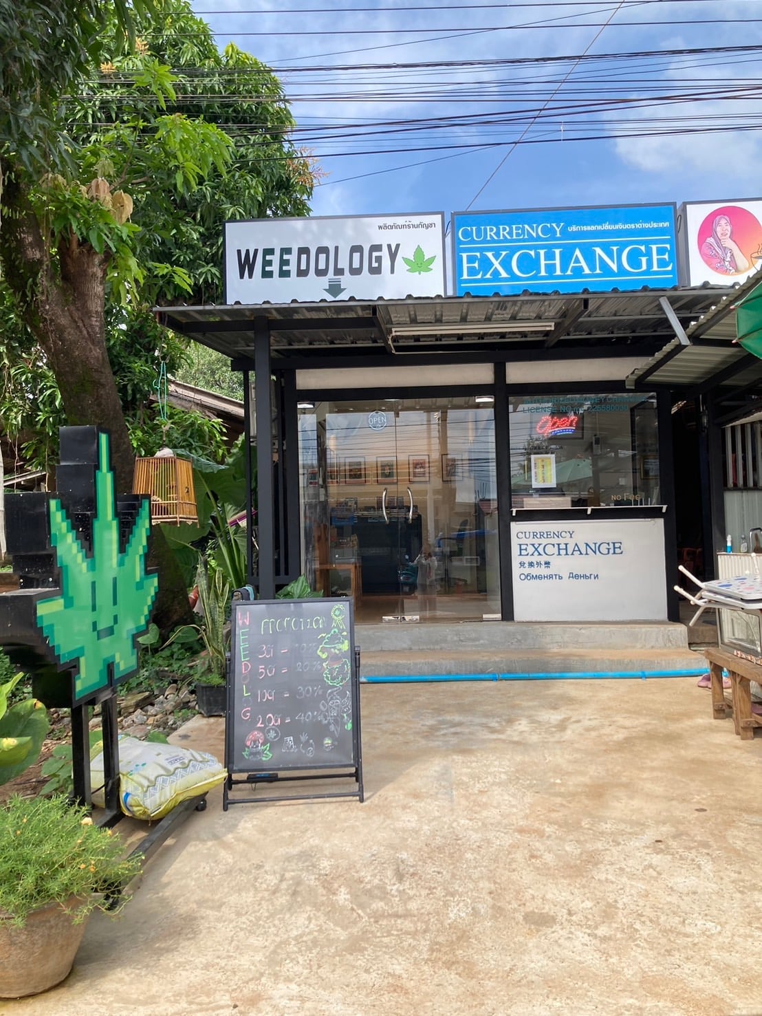 Weedology Cannabis Culture Lanta