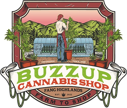 Buzzup Cannabis Shop & Guesthouse - Fang's Unique Terroir & Terpene-Rich