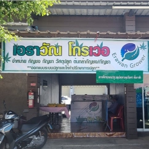 Erawan Grower