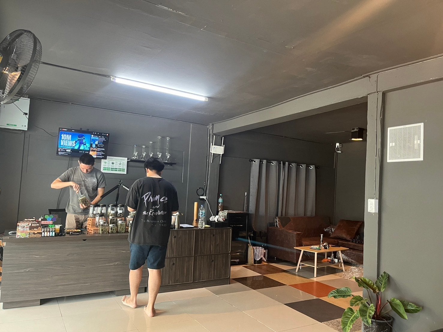 Weed All Day Cannabis Shop CNX