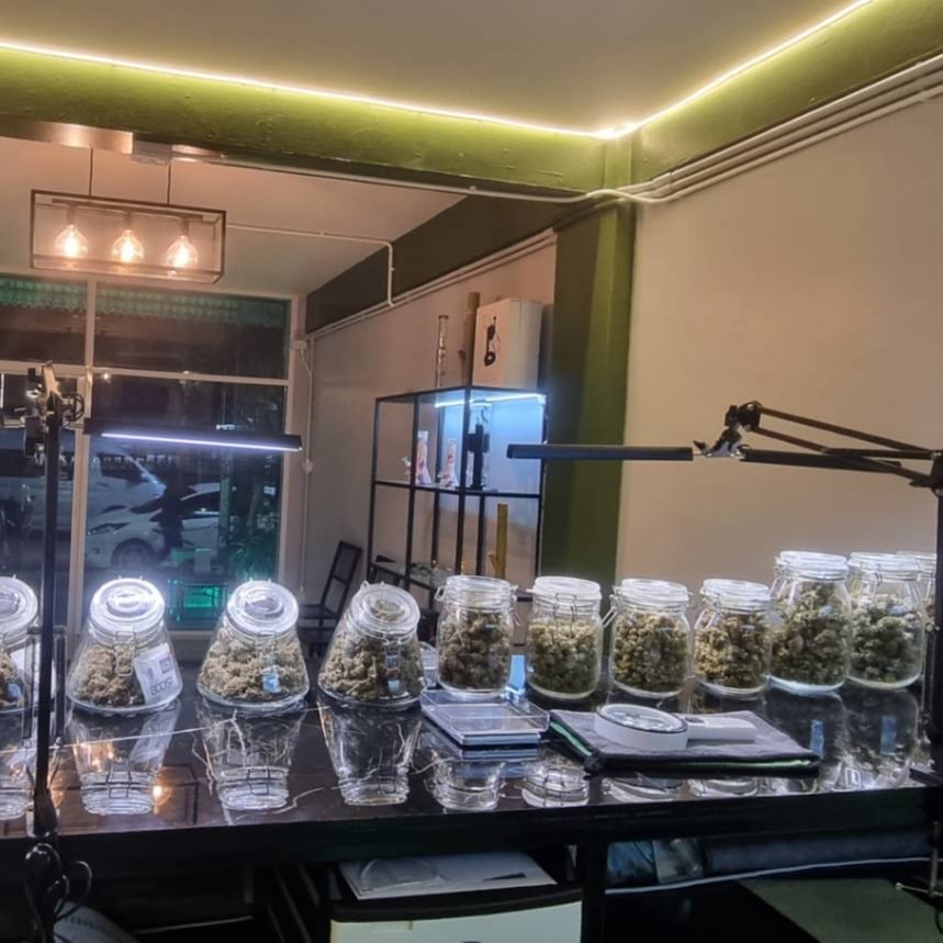 Shiva Cannabis - Weed