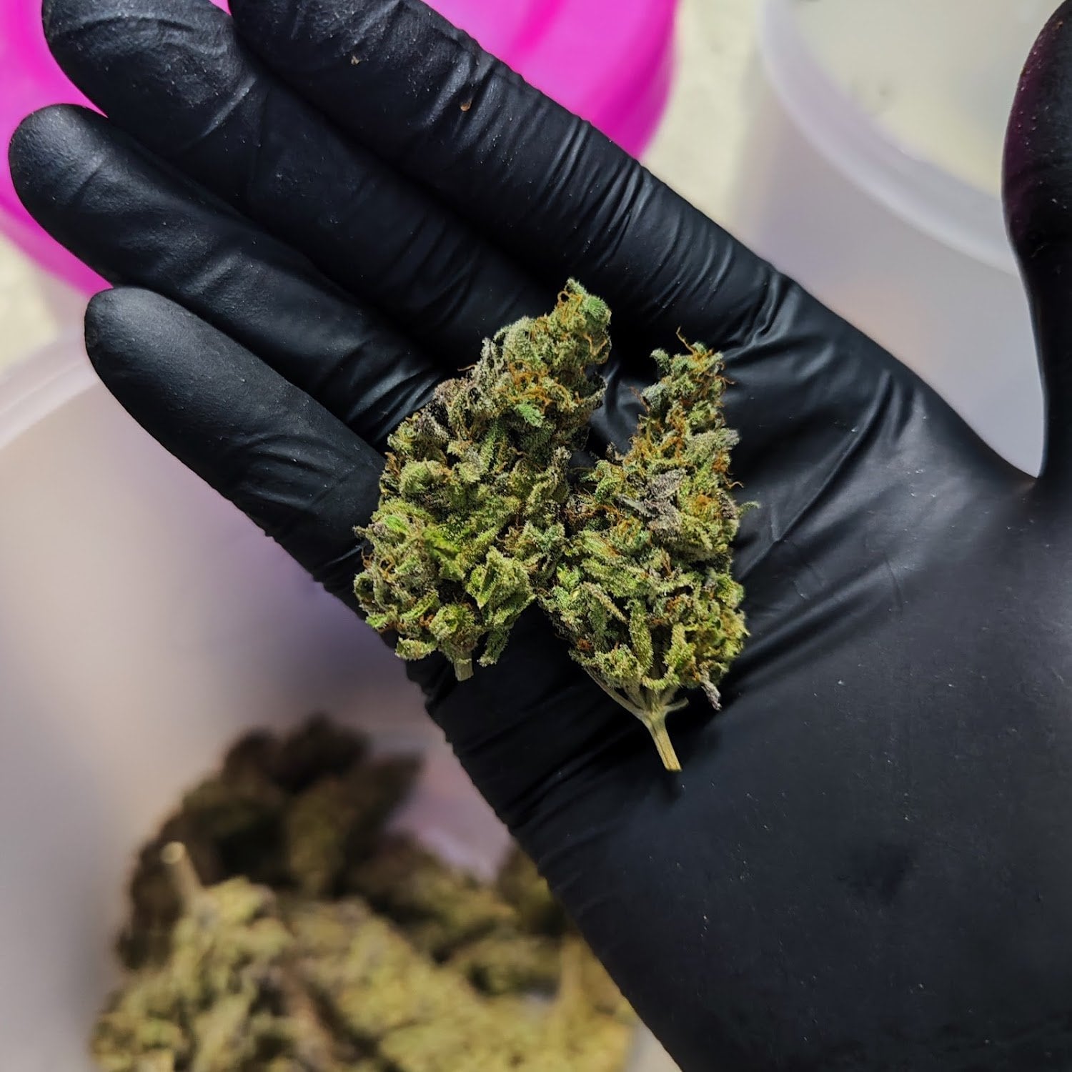 Cannabisshop & Grocery Store Kerry Express