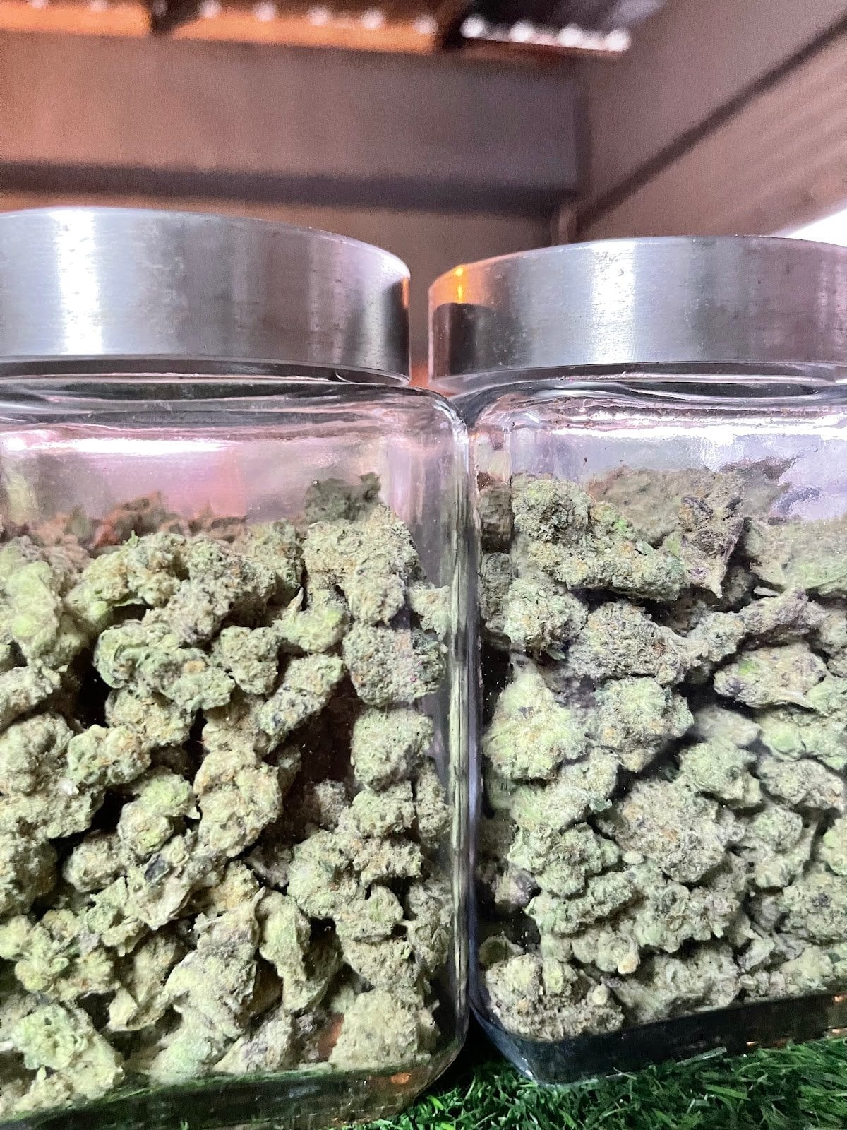 NT Cannabiz