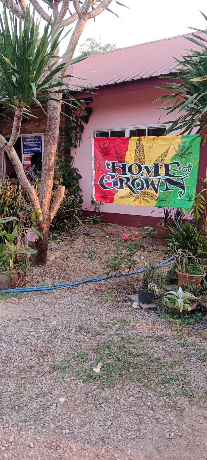 Beer Grower