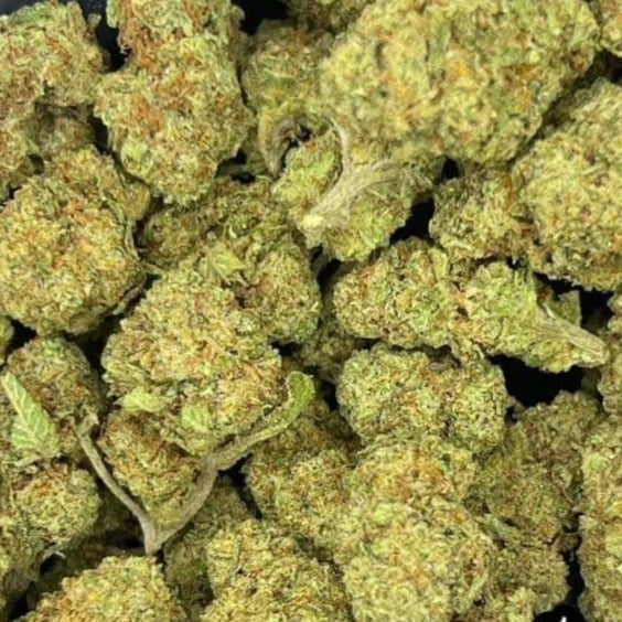 Feasto Og Kush
