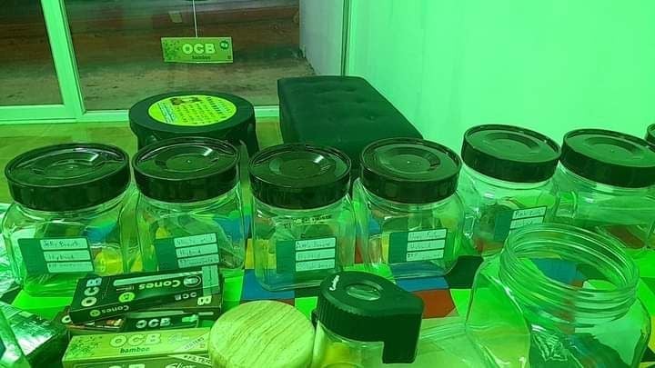P Cannabis