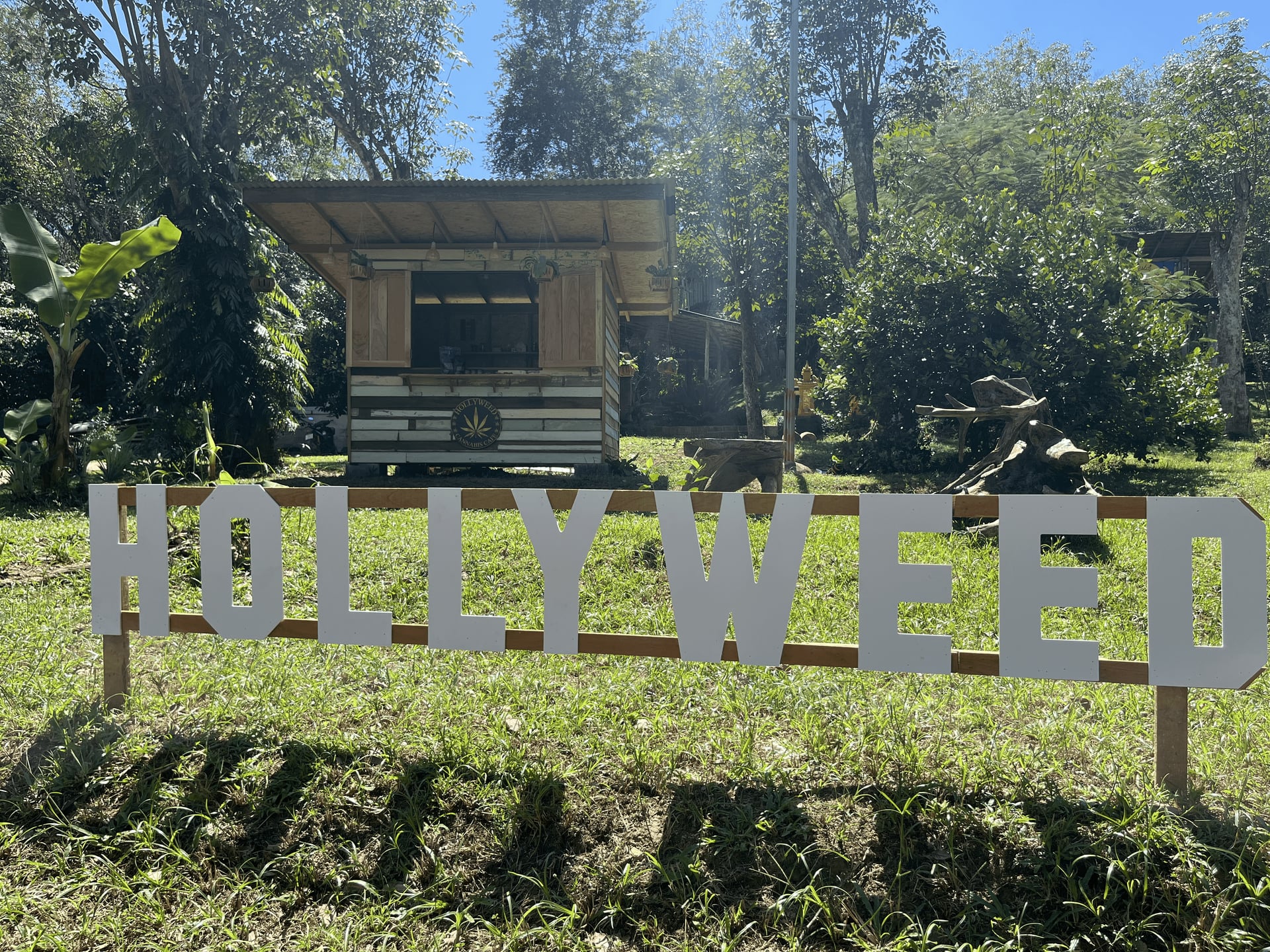 HollyWeed Cannabis Cafe