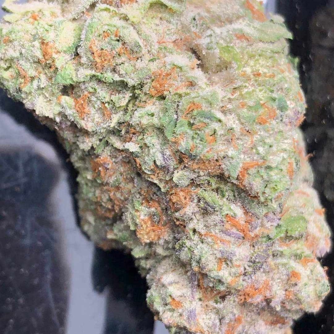 Master Ganja