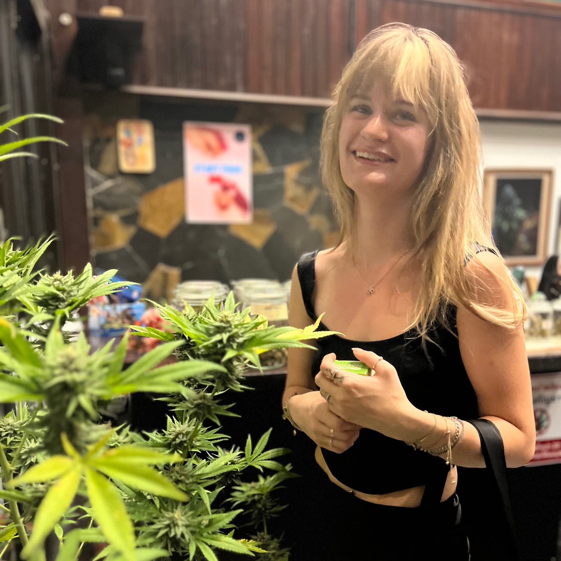 Blue Dream Cannabis Hotel