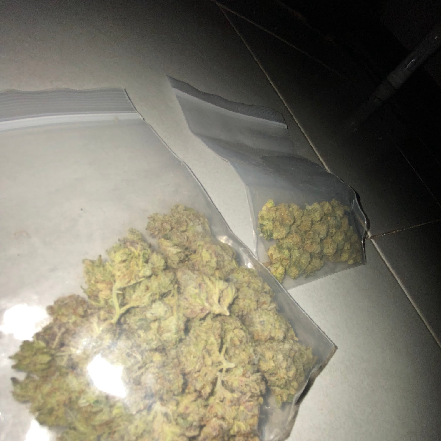 Bas Bud Cannabis Home Grow