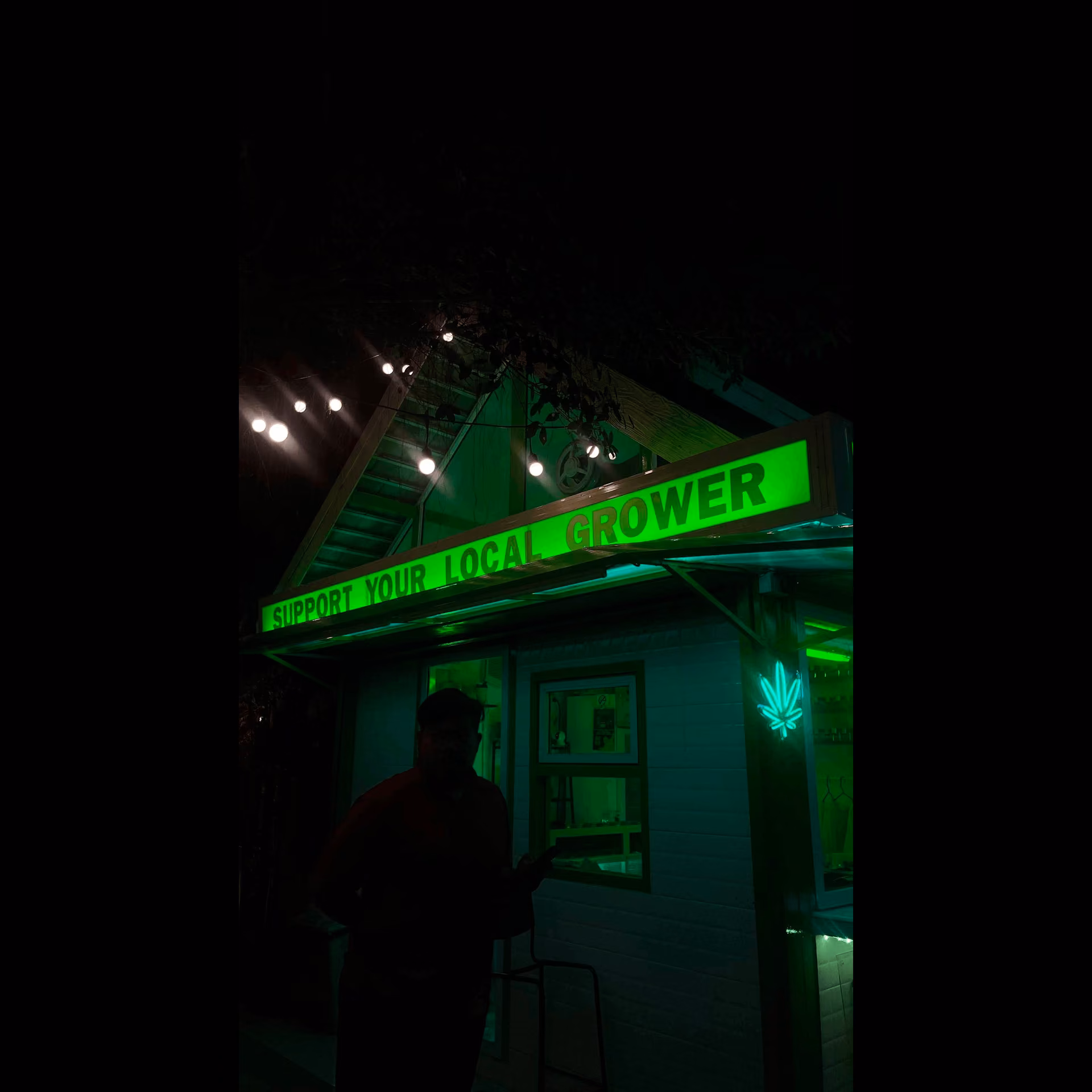 Cannabis Dispensary Geen & Friends Weed Cannabis Marihuana in Chiang Mai logo