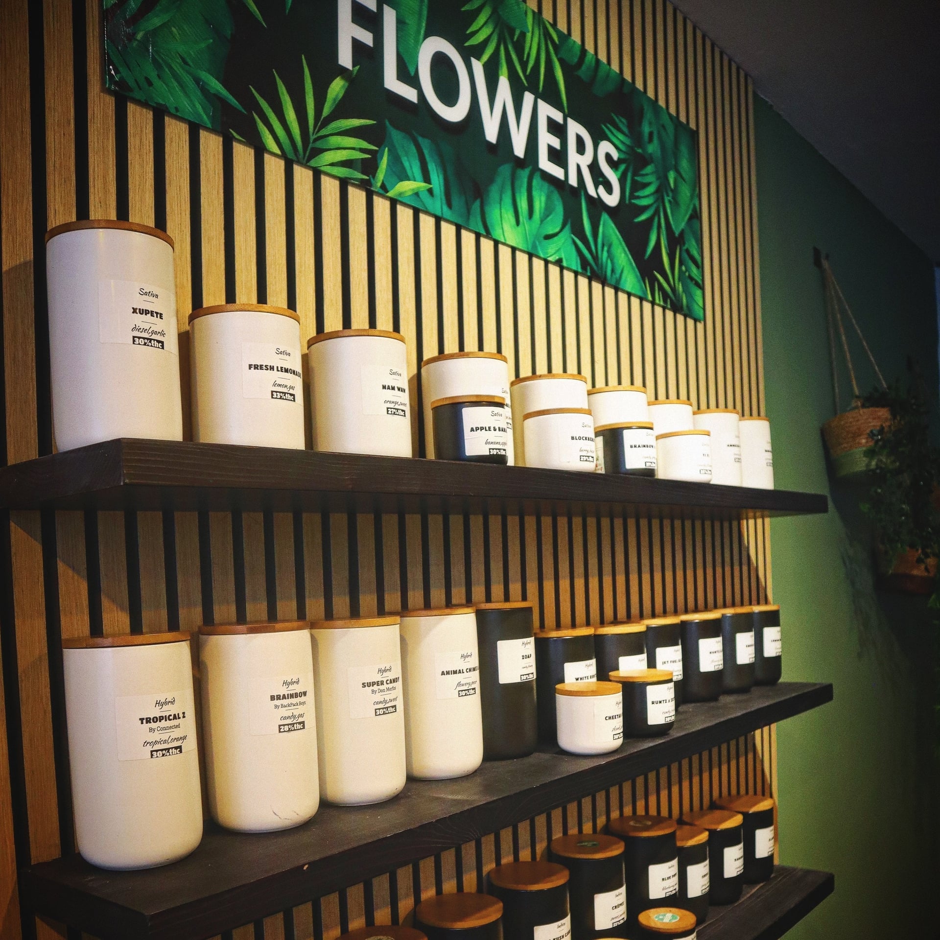 GreenShop