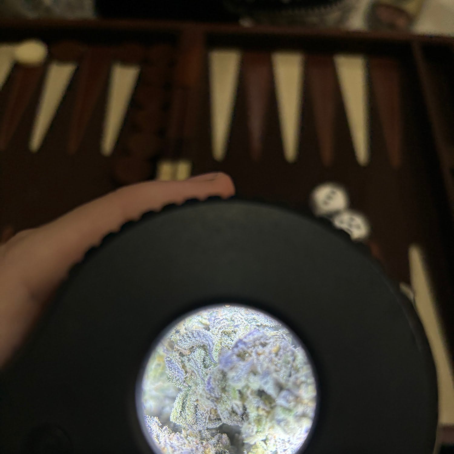 Ogdiaries